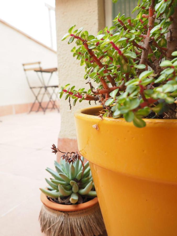 Apartaments La Rambla - Arbequina - 6 Persones Cornudella de Montsant Luaran gambar